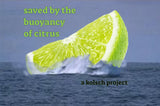 Saved by the Buoyancy of Citrus (A Kolsch)